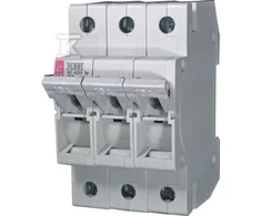 Eti-Polam Saugiklis 3P 10A D01 VLD01 (002261012)