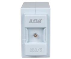 F&amp;F VERTIMAS DABARTINĖ. TI 250/5A O22, KL.0.2S