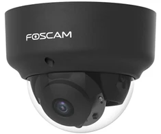Shenzhen FOSCAM kamera D2EP 2MPix P2P IK10 IR 20m juoda