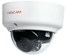 Shenzhen FOSCAM D2EP 2MPix P2P IK10 IR 20m balta kamera