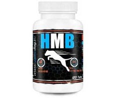 GAME DOG HMB - supplements for dogs - 120 tablets