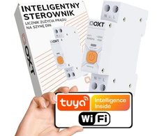 OXT išmanusis valdiklis | 63A | Matuoklis | WiFi | Tuya T335