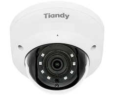 Carruzzo Vandal-Proof IP Camera TC-C35KS 5 Mpx 2.8 mm