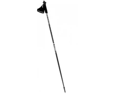 Kije Nordic Walking Lite Pro 120 cm Viking sidabrinė ir juoda