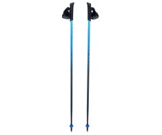 Kije nordic walking Viking Pro-Trainer mėlyna 110