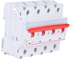 Legrand FRX 404 100A 4P ATJUNGIMAS