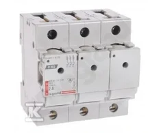 Legrand Saugiklis 3P 2A D01 R303 (606700)