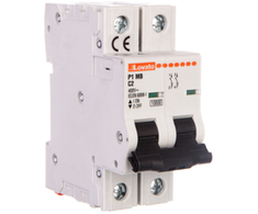 Lovato Electric 2P C 2A 10kA (P1MB2PC02)