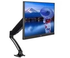 iiyama DS3001C-B1 monitoriaus laikiklis arba stovas 68,6 cm (27") Gnybtas Juoda