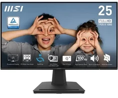 Monitorius LCD 25" PRO MP252 MSI