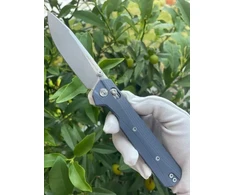 Bestech Knives Mėlyna Nóż KNIVESPL The First Mėlyna G10 14C28N