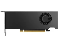 NVIDIA RTX 2000 Ada Generation - Vaizdo plokštė - PCI-Express