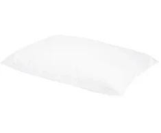 Pagalvė iš 100 % ančių pūkų, 1100 g, 50 x 70 cm, aukšta