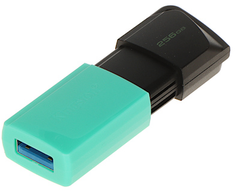 PENDRIVE FD-256 / DTXM-KINGSTON 256 GB USB 3.2 Gen 1