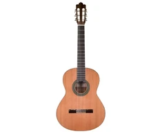 Prodipe Guitars Recital 300 – klasikinė gitara