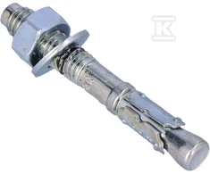 Ankerinis varžtas RawlPlug R-XPT-08060/10; 8x60 mm; 100 vnt.