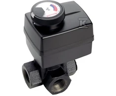 Resideo Centra 3DR DN20 CORONA RINKINYS, AKTUORIUS M6063L