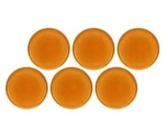 ROSE&amp;TULIPANI ARPEGGIO 6 pietų lėkščių rinkinys 25 cm, oranžinės spalvos