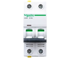 Schneider Electric (A9F03225)