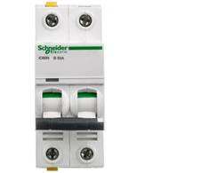 Schneider Electric IC60N perjungimo jungiklis 2P 50A B (A9F03250) charakteristikos