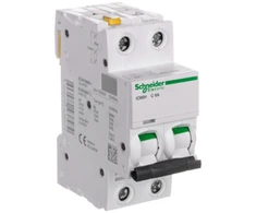 Schneider Electric Automatinis jungiklis 2P 6A, charakteristika C (A9F07206)