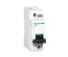 Schneider Electric Schneider A9N18357 Grandinės pertraukiklis 1P C 80A 10kA AC C120N A9N18357