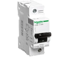 Schneider Electric 1P C 100A 10kA AC C120N (A9N18358)