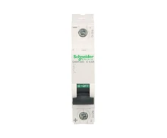 Schneider Electric Automatinis jungiklis C60H 1p 0,5 A, charakteristika C (A9N61500)
