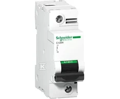 Schneider Electric 1P C 100A 10kA AC C120N (A9N18358)