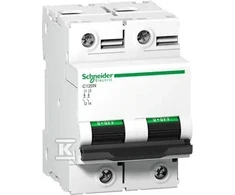 Schneider Electric C120N 2P 125A C 10KA 415V WYŁ.NADPR