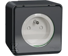 Schneider Electric Mureva Style Socket 2P+PE antracitas MUR35031