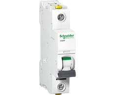 Schneider Electric IC60H 1P 20A C IŠJUNGTA SROVĖ