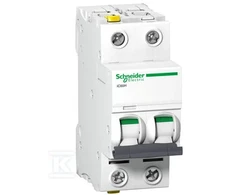 Schneider Electric IC60H 2P 25A C IŠJUNGTA SROVĖ