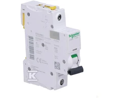 Schneider Electric Jungiklis 1P C 2A 6kA AC IC60N - A9F04102