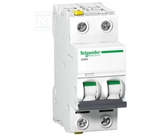 Schneider Electric IC60N 2P 25A C IŠJUNGTA SROVĖ