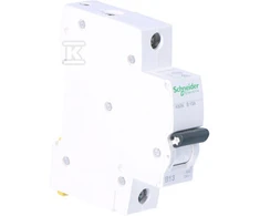 Schneider Electric K60N-B13 WYŁ. NADPRĄDOWY