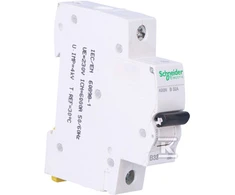 Schneider Electric K60N-B32 WYŁ. NADPRĄDOWY