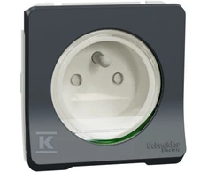 Schneider Electric Mureva Style Socket mechanizmas 2P+PE besriegiai gnybtai antracitas IP55 MUR36133