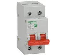 Schneider Electric „Schneider“ jungiklio skyriklis 63A 2P Easy9 Pro (EZ9S16263)