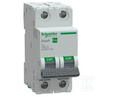 Schneider Electric Schneider automatinis jungiklis C 4A 2P Easy9 Pro EZ9F57204