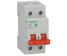 Schneider EZ9S16240 Rozłącznik izolacyjny 40A 2P Easy9 Pro EZ9S16240