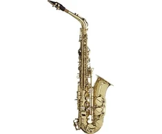 Stagg WS-AS215S – alto saksofonas Es su dėklu