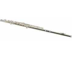 Stagg WS-FL211S - C fleita + dėklas