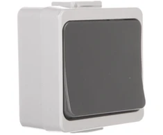 Timex Elektro WNT-1J-b/S SZ JANTAR-bis Vienas jungiklis su apšvietimu n/t IP44 rutulinis WNT-1J-b/S
