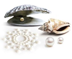 Bijoux Indiscrets – Mimi spenelių dangtelio perlas