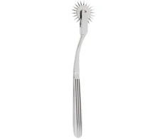Single Pinwheel Sidabrinis