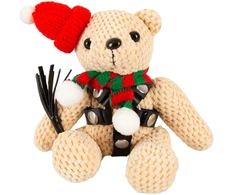 Tedis žiemos leidimas
