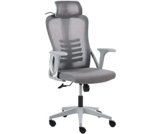 Beliani Biuro kėdė ERGONOX pilka