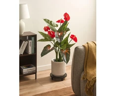 Beliani Dirbtinis augalas ANTHURIUM 95 cm, žalias