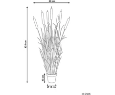 Beliani Dirbtinis augalas BULRUSH 135 cm žalias
